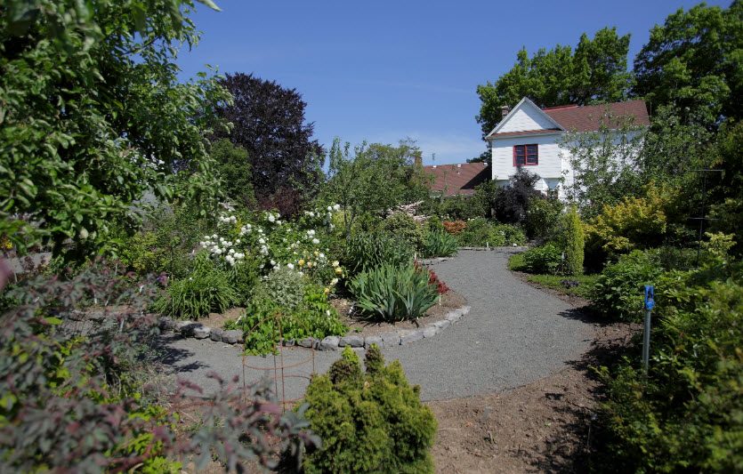 Rogerson Clematis Garden, United States